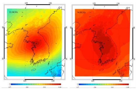 LDAPS 전격자에 대한 correlation map 22.24 GHz(좌), 58 GHz (우)