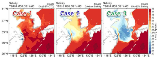 018년 8월 21일 태풍 솔릭이 오키나와 해역을 통과하기 전 시기의 각 실험 사례별 해양 표층 염분 분포