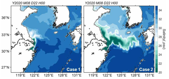 2020년 8월 22일 (좌) Case 1과 (우) Case 2의 해양 표층 염분 분포