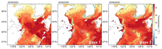 태풍 바비가 동중국해를 통과하는 8월 25일의 (좌) 위성기반 관측 수온과 (중앙) Case 1 및 (우) Case 2에서 모의된 표층 수온 결과. 파란색 등고선은 980hPa의 등기압선으로써 태풍 바비의 위치를 나타냄