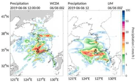2019년 6월 6일 12시(UTC) 결합 예측모델(좌)와 현업 운용 UM(우)의 강수 강도 모의 결과