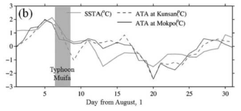 2011년 8월 태풍 무이파가 서해를 통과한 후 해수면 온도의 감소와 함께 군산과 목표에서의 기온이 동시에 하강. 태풍으로 인해 서해 해수면 온도가 급감(Lee et al., 2016)