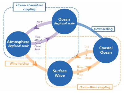 대기-해양 결합모형과 정밀 연안 해양-파랑 결합 예측시스템 모식도