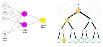 인공신경망 모델(좌)과 의사결정나무(우) 구조의 예