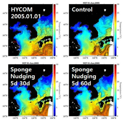 2005년 1월 한달 동안 모의된 SST 및 해류와 HYCOM 분석 결과의 공간 분포 비교