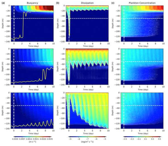 부력, 난률소산율, 플랑크톤 농도 연직분포의 시계열 (해수면열속은 t = 0 에서 음에서 양을 바뀐다 (상: u* = 0.01 ms-1, φ = 40 도, 중: u* = 0.01 ms-1, φ = 0 도, 하: u* = 0.02 ms-1, φ = 40 도). 고위도에서 얕은 수심에서 수온약층이 생성됨에 따라 플랑크톤 농도가 급격하게 증가함을 보여주고 있다