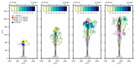 LCM을 통해 재현된 구름 내 빗방울 생성과정 (Hoffmann et al. 2017)