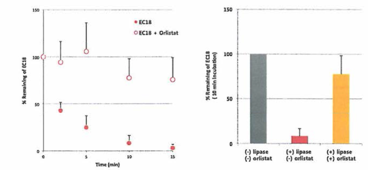 In vitro lipase-mediated stability of EC-18 in the absence or presence of orlistat: the relative remaining concentration of EC-18 vs. time profile left; the relative remaining of EC-18 at 15 min post-incubation (right)