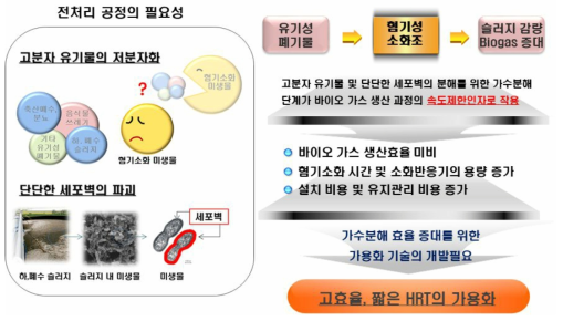 혐기성 소화효율 향상을 위한 가용화 기술의 필요성