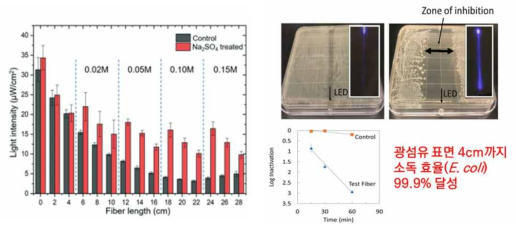 소독효율 99.9%를 달성하는 30cm 자외선 측면발광 광섬유의 자외선 발광량과 소독효율 실험결과