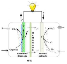 미생물연료전지의 모식도