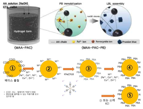 지지체(MAA-PAC)를 이용한 MAA-PAC-PB 및 MAA-PAC-CuHCF 합성 모식도 (자료; Scientific Reports (2019)9:16334, Nature research 참고)