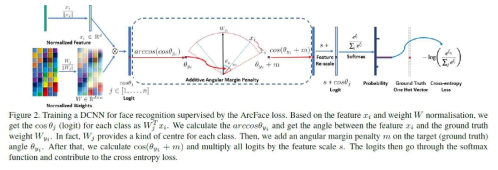 ArcFace Loss 적용 도식화 예시