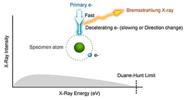 Bremsstrahlung X-ray 발생 원리 (G.K. Parks et al.)