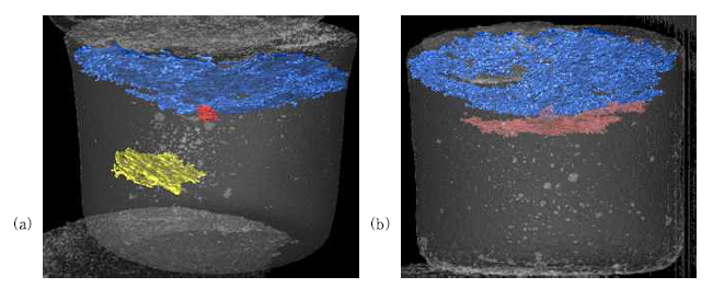FJS-1 마이크로파 소결체 내부 균열 및 마크로 공극의 3차원 영상: (a) MS4 (1100℃), (b) MS7 (1120℃)