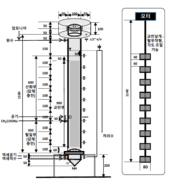 MS-BAF 시작품 모식도