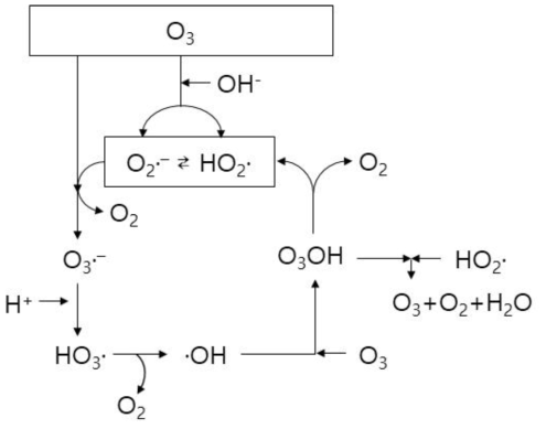 오존 반응으로 생성되는 OH라디칼과 라디칼 중간생성물