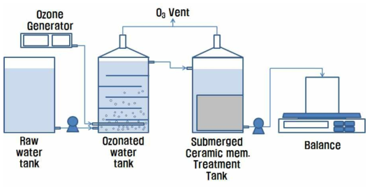 고도산화 일체형 세라믹 막여과 공정 lab-scale 장치 공정구성도