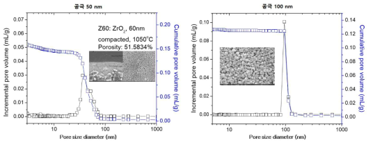 50 nm와 100 nm 공극 분리막의 공극 분포도 및 SEM 사진