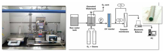 오존/AOP 및 세라믹막 lab-scale 장치