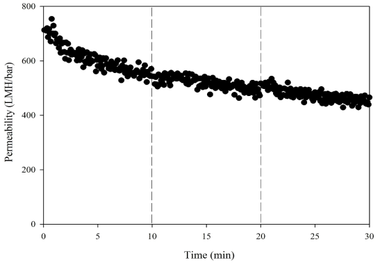 카올린 현탁액 여과시의 수투과도 변화 (역세척압력 0.5 bar)