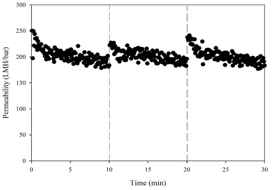 유기성 물질 여과시의 수투과도 변화 (역세척압력 1.25 bar)