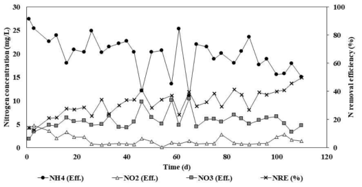 상온 혐기성 암모늄 산화 단일 공정(대조군)의 유출수질 변화