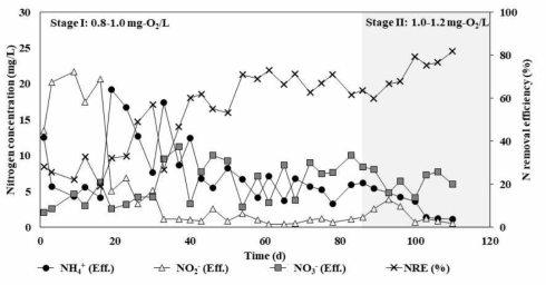 DO 조절기를 이용한 상온 혐기성 암모늄 산화 단일 공정(실험군)의 유출수질 변화