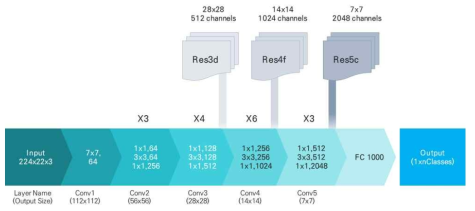 ResNet50 알고리즘