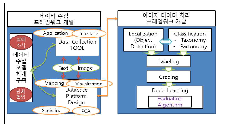 데이터 수집 및 딥러닝 기반 평가 프레임워크 개발의 개요도