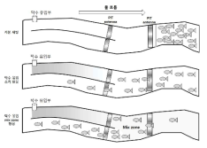 탁수 적용 어류거동 실험 계획