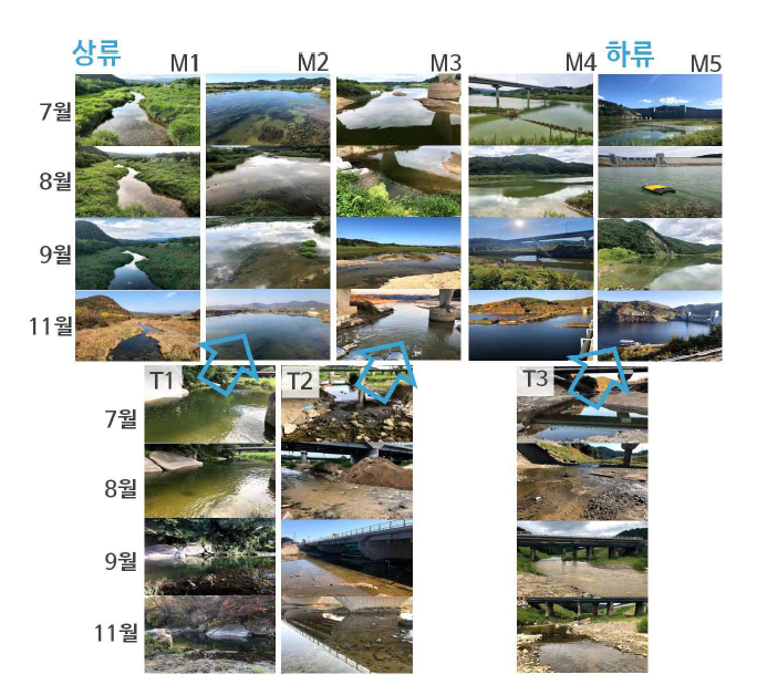 계절별 본류 및 지천 하천환경 현황