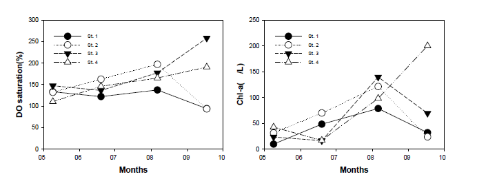 산소포화도와 클로로필-a 변동