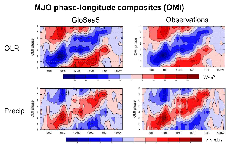 OMI 지수를 사용하여 나타낸 (위) OLR과 (아래) 강수의 MJO life-cycle composite. (왼쪽) 관측, (오른쪽) 결합초기화 재분석장(1) 적운대류 흡기과정에 대한 추계 모수화 기법 개발