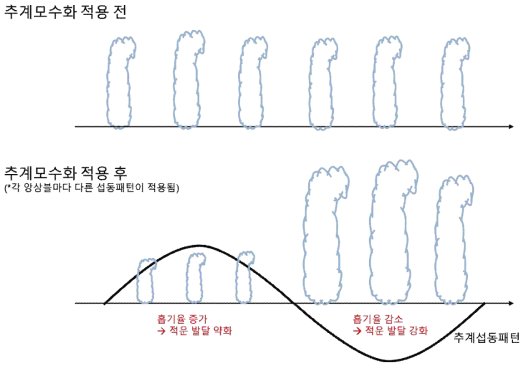 추계 모수화의 영향 모식도