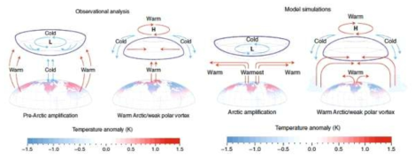 관측에서 보여지는 북극온난화와 그에 따른 중위도 순환장의 변화(왼쪽 위), 모델 결과 (오른쪽 위)