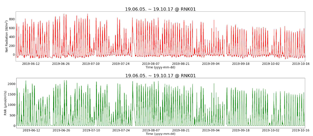 2019년 6월 5일부터 2019년 10월 18일까지의 순복사량(Rn, W/m2)과 광합성 유효 복사량(PAR, μmol/m2/s)의 시계열 변화