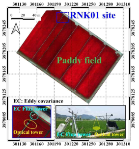 2020년 논벼에서 태양 유도 엽록소 형광을 측정하기 위한 관측기기 설치 위치 및 모습