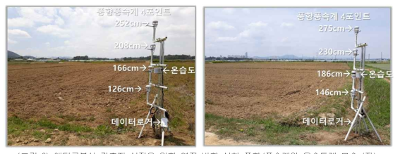 에디공분산 관측지 선정을 위한 연직 방향 설치 풍향/풍속계와 온습도계 모습 (좌) 재배단지의 북서쪽 코너의 A 지점, (우) 재배단지의 북동쪽 코너의 B 지점