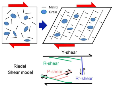 Systematic diagram of fault rock with grains and matrix with Riedel shear model