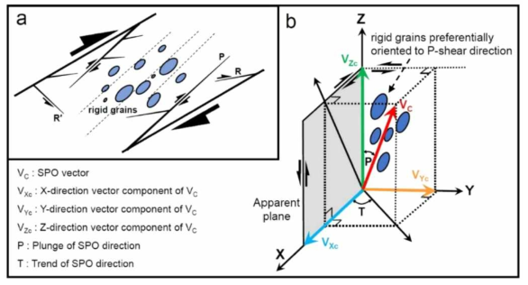 (a) Arrangement of grain preferred orientation and direction of shear according to the Riedel shear model in outcrop (2-D plane). (b) Schematic diagram showing the arrangement of grains viewed in 3D with apparent planes observed in the outcrop. SPO can be expressed as the sum of each direction vector on the 3D