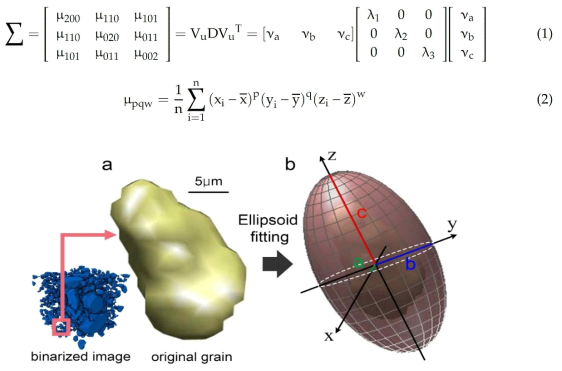 Diagram of ellipsoid fitting process. (a) All grains in theMATLAB calculation were recognized as individual objects, maintaining their size and shape. (b) After the fitting is automatically applied, each grain is converted into an ellipsoid, from which the length and the direction can be obtained by measuring the length (a, b, c) of principle axes (x, y, z) and the orientation of the longest axis (z-axis). x, y, and z are the axes of ellipsoid with vector components, and a, b, and c are the lengths of each axis