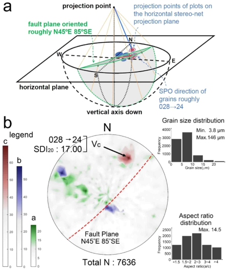 (a) The diagram shows the relationship between the fault plane and the SPO of grains plotted on stereo-net. The fault motion sense depends on the relative position of the SPO to the fault plane. (b) SPO measurement results for a gouge sample. Each SPO data of major, middle, and minor axis are shown as red, blue, and green, respectively. For fault plane N45°E 85°SE, the densest point of SPO of major axis is directed from 028→24. Most of the grains examined had a size of less than 15 m