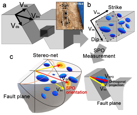 Schematic diagram of the shape preferred orientation (SPO) measurements. (a) Schematic diagram showing the fault slip by separating it into strike- and dip-direction vectors; (b) The orientations of grains included in the sample obtained through coring are measured through three-dimensional computed tomography (3D-CT) images; (c) SPO data representing grain orientations and fault planes are projected onto the stereonet to infer the direction of fault motion (Vfm). Vss, vector of strike-slip; Vds, vector of dip-slip; Vfm, vector of fault motion; and VSPO, vector of densest point of SPO