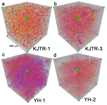 Synchrotron CT image of fault rock samples. After the image filtering process, the temperature type filter was used, adjusting the filter value so that the grains inside the fault rock could be easily seen. (a) KJTR-1 (cataclasite) and (b) KJTR-3 (fault gouge), from the Ulsan fault; (c) YH-1 (fault gouge) and (d) YH-3 (cataclasite), corresponding to the Yangsan fault, show different textures