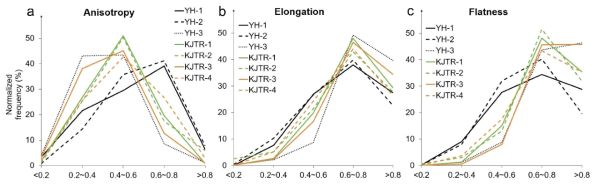 Results showing the distribution of values of (a) anisotropy (1-c/a), (b) elongation (b/a), and (c) flatness (c/b) of the grains subject to investigation. All values were divided into five sections: < 0.2, 0.2~0.4, 0.4~0.6, 0.6~0.8, and 0.8 < , and the y-axis value represents the normalized frequency of the corresponding grains for each section. The solid black and dotted lines show the results of the YH site sample, and the solid green and orange lines and the dotted lines show the results of the KJTR site sample