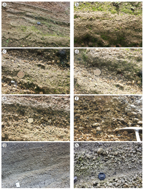 Outcrop photographs showing some lithofacies in U-2 members of the extracaldera Maljandeung Tuff. (a) Overall view of U-2 pyroclastic sequence near Naesujeon hill; (b) Basal coarse tuff (t1) intercalated with two thin fine lapilli tuff beds; (c) Another coarse tuff to lapilli tuff (t2) in the basal U-2 member; (d) Lapillistone (l2) between both coarse tuffs; (e) Another lapillistone (l4) between both coarse tuffs; (f) Pumice deposits showing openwork feature in the upper U-2 member; (g) Pumice deposits dipping at 30˚ in the upper U-2 member near Jeodong hill; (h) Remarked reverse grading within each pumice deposit