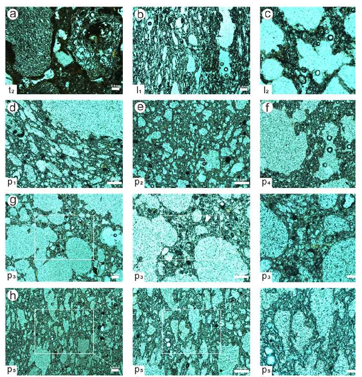 Photomicrographs captured from pumice clast of eruptive units that show textural features in the Member U-3 of the extracaldera Maljandeung Tuff. (a) Coarse tuff t2 showing small pumice clasts in a fine ash matrix; (b) Stretched fine to intermediate vesicles in a pumice clast from lapillstone l1; (c) Very fine vesicles between intermediate vesicles in a pumice clast from lapillstone l2; (d) A coarse vesicle surrounded by fine vesicles in a pumice clast from pumice deposits p1; (e) Range of fine vesicle sizes is evenly distributed in a pumice clast from pumice deposits p2; (f) Domains of very fine vesicles surrounded by intermediate to coarse vesicles in a pumice clast from pumice deposits p4; (g) Coarser vesicles are dominated in a pumice clast from pumice deposits p3; (h) Range of vesicle sizes is evenly distributed in a pumice clast from pumice deposits p5. Length of the white bars in all images is 200 μm