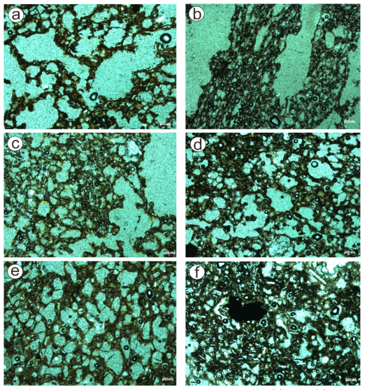 Photomicrographs at the same scale for (a) and (b) highly vesicular scoriae (HVS), (c) and (d) moderately vesicular scoriae (MVS), and (e) and (f) lowerly vesicular scoriae (LVS). Length of the white bars in bottom right corners of all images is 200 μm