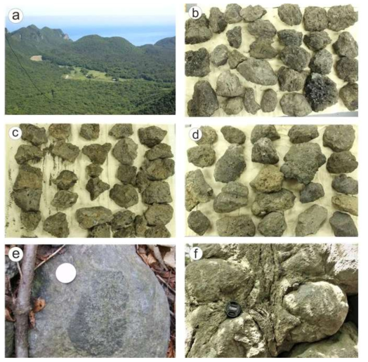 Various scoriae collected from the surface of the Nari Scoria Deposits. (a) scoriaceous lapilli showing various vesicularities; (b) Scoriaceous bomb with fluidal surface; (c) Scoriaceous bomb showing cauliflower form; (d) Scoriaceous bomb with bread-crusted cracks; (e) Scoriaceous bomb characterized by fine to coarse vesicles; (e) Scoriaceous bomb characterized by medium to fine vesicles